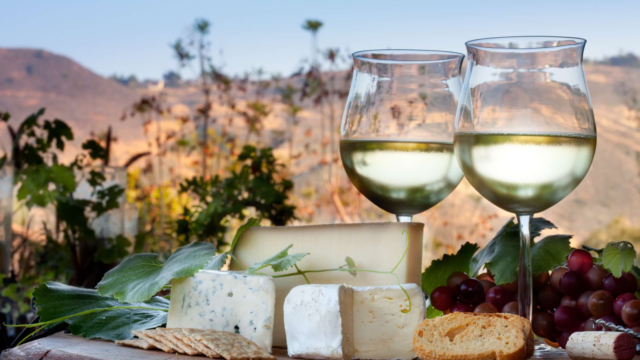 Cheese and wine with vineyard view