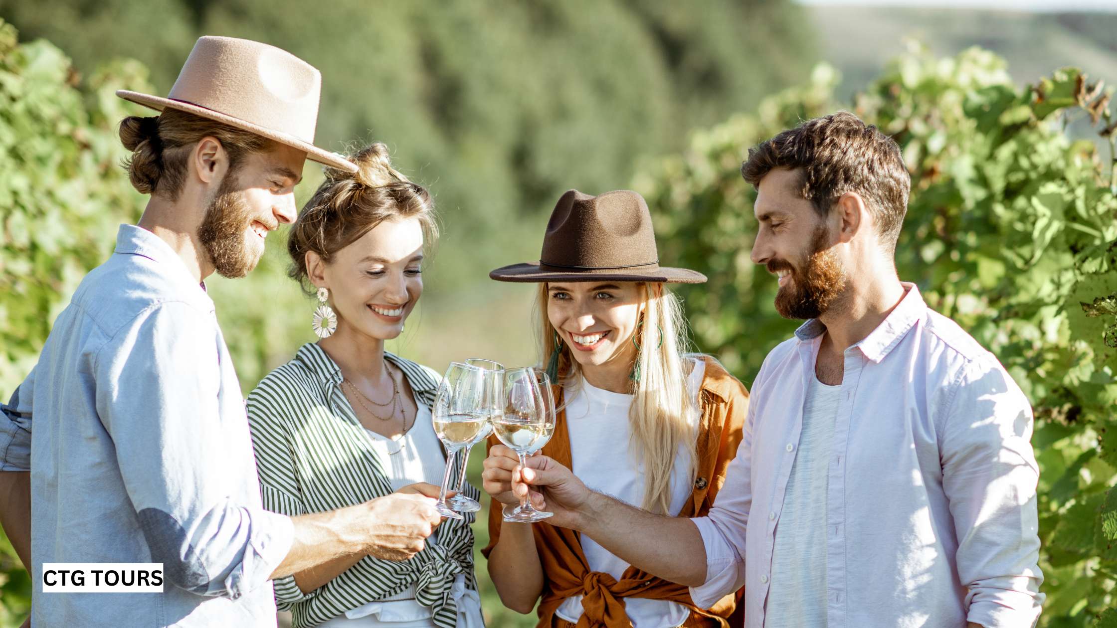 Friends toasting wine in vineyard