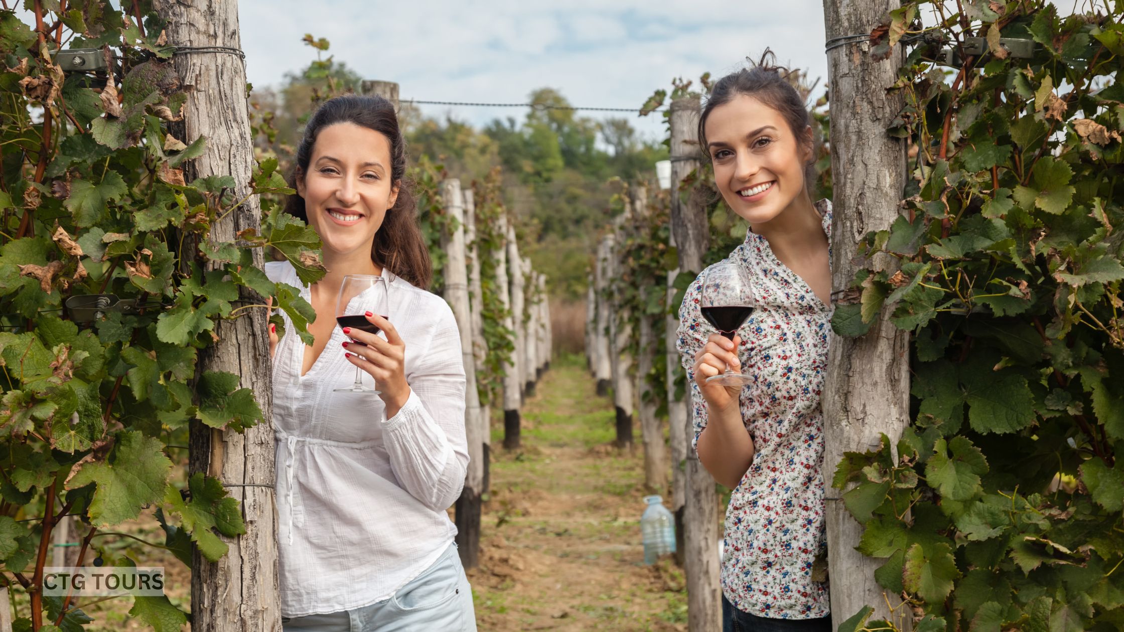 Women enjoying wine in vineyard setting. Picturesque vineyard in Niagara with rolling green vines, boutique wineries, and blue sky.
