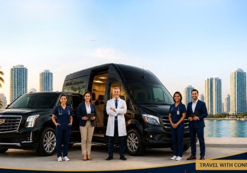 Medical team beside luxury transport by waterfront skyline